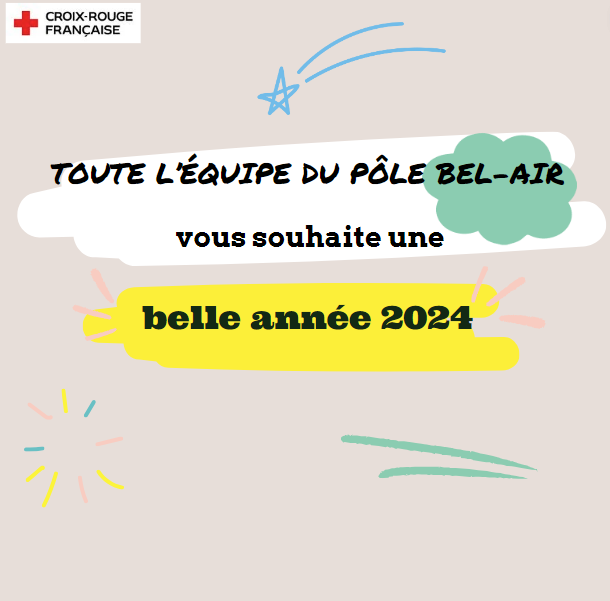 capture voeux